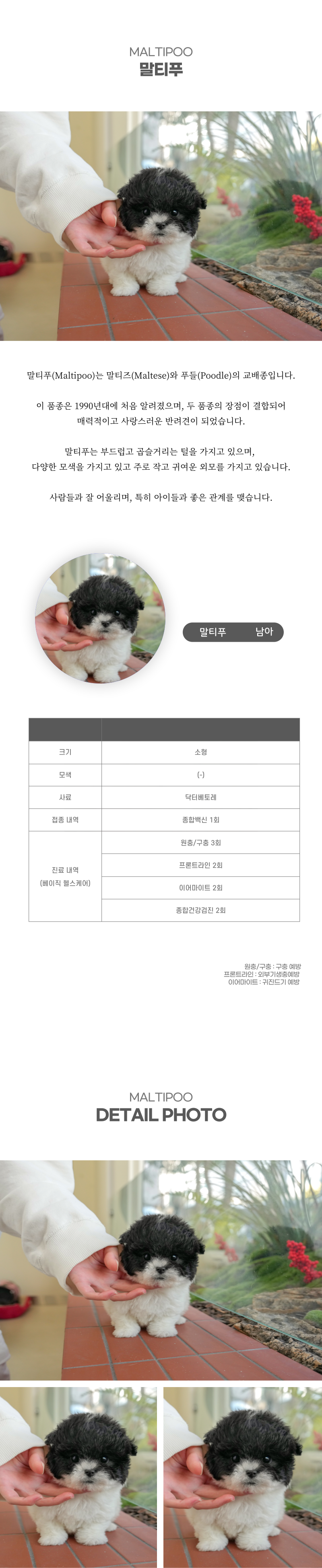 말티푸_상세이미지_2